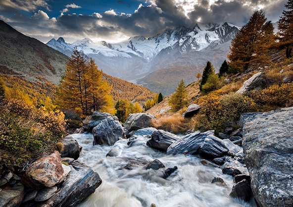 Boîte du casse-tête Alexander Von Humboldt - Mountain Stream (1000 pièces) Heye