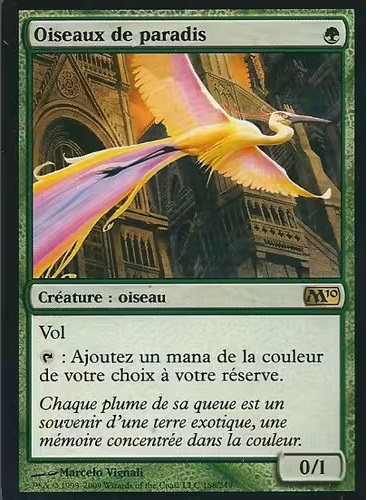 Présentation du jeu Oiseaux de Paradis